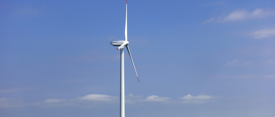 “风机带来光，蜜蜂带来甜”——中巴绿色合作带来了新生活   ​