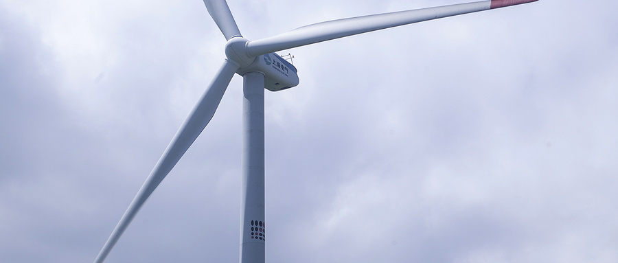 通讯｜“风机带来光，蜜蜂带来甜”——中巴绿色合作带来了新生活  