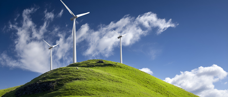 穆虹：加快经济社会发展全面绿色转型