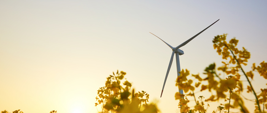 内蒙古：“十五五”将全力打造国家重要绿色算力保障基地