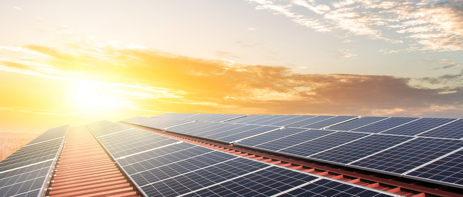 山东潍坊：“智慧农业”点亮特色产业富民路